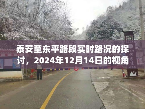 泰安至东平路段实时路况分析，2024年视角