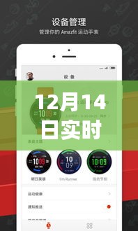 全面评测与介绍，12月14日最新实时动态心率手表app