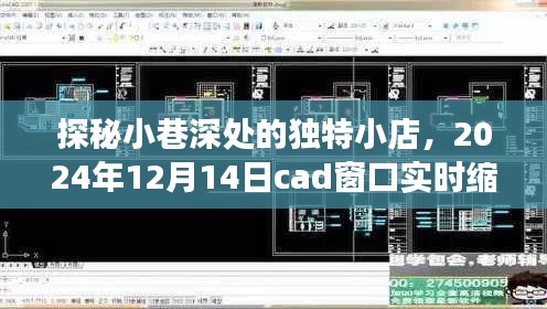 探秘小巷深处的独特小店，体验cad窗口实时缩放之旅（2024年12月14日）