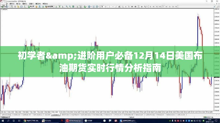 12月14日美国布油期货实时行情分析指南，初学者与进阶用户的必备参考