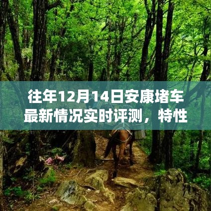 安康往年12月14日交通拥堵状况深度解析，实时评测、特性体验、竞品对比及用户群体分析报告