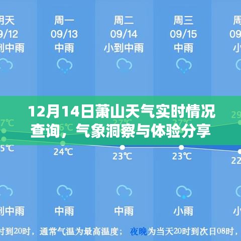 萧山气象洞察，实时天气查询与体验分享（12月14日）