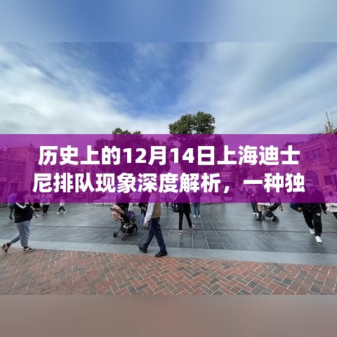 上海迪士尼排队现象深度解析，从文化体验视角看历史性的12月14日