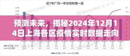 揭秘上海各区疫情实时数据走向，预测未来走向与2024年12月14日数据展望