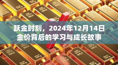 跃金时刻，金价背后的学习与成长之旅 2024年12月14日