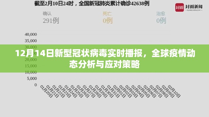 全球疫情动态分析，新型冠状病毒实时播报与应对策略（12月14日）