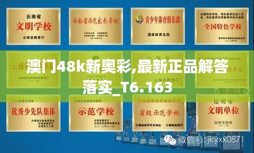 澳门48k新奥彩,最新正品解答落实_T6.163