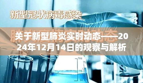 新型肺炎实时动态观察解析，2024年12月14日最新观察与解析报告