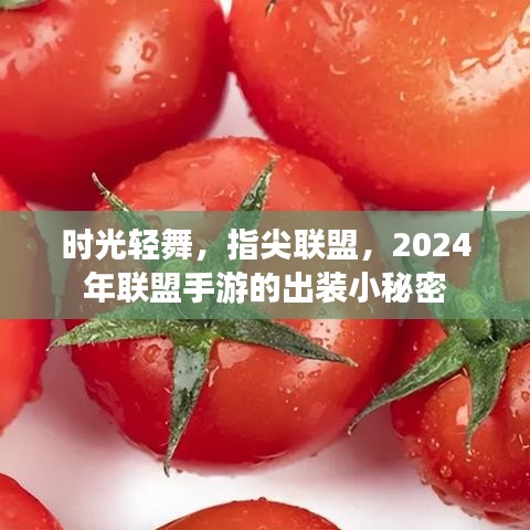 时光轻舞指尖联盟，揭秘2024手游联盟出装秘密