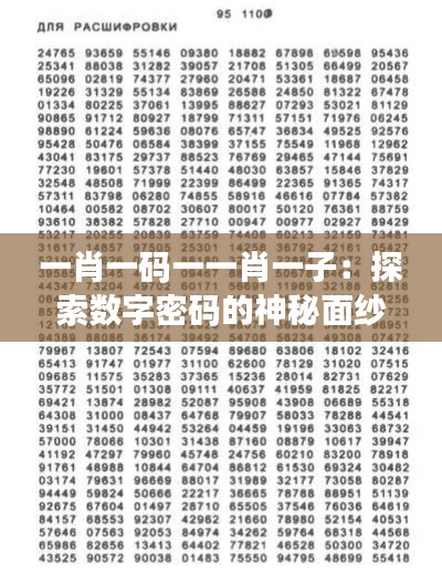 一肖一码一一肖一子：探索数字密码的神秘面纱