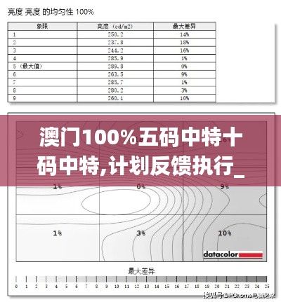 澳门100%五码中特十码中特,计划反馈执行_tShop5.291