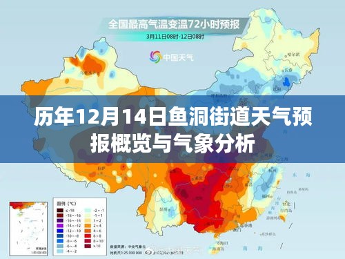 2024年12月16日 第6页