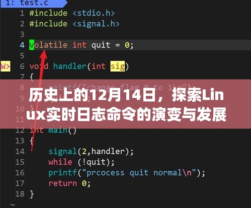 Linux实时日志命令的演变与发展，历史视角下的12月14日探索