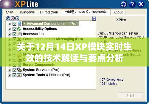 技术解读与要点分析，关于XP模块实时生效的详细解析（12月14日版）