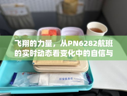 飞翔的力量，PN6282航班实时动态下的自信与成就感展现