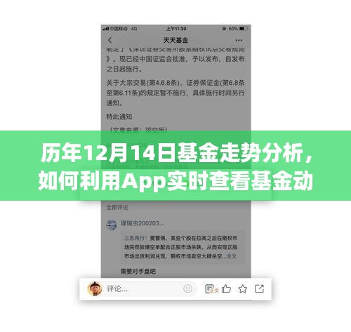 历年12月14日基金走势解析与实时查看基金动态的App利用策略