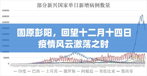 固原彭阳回望疫情风云激荡的十二月十四日