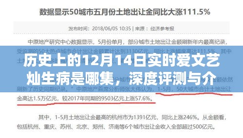 历史上的12月14日，实时爱文艺灿生病事件深度解析与剧集介绍