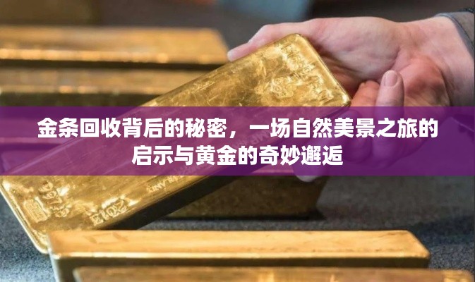 金条回收与自然美景背后的秘密，黄金的奇妙邂逅之旅