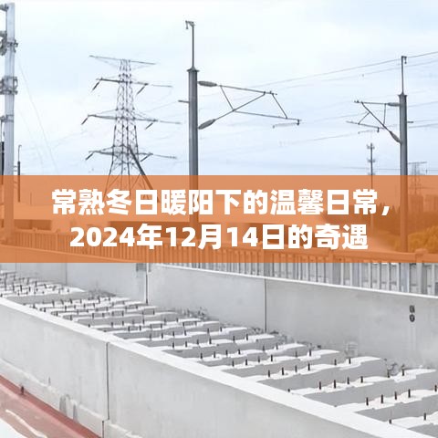 2024年12月17日 第7页