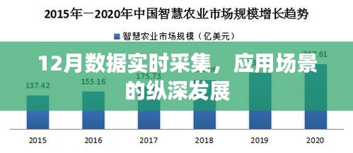 12月数据实时采集与应用场景纵深发展研究