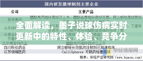 墨子说球，全面解读伤病实时更新特性、体验、竞争分析与目标用户洞察