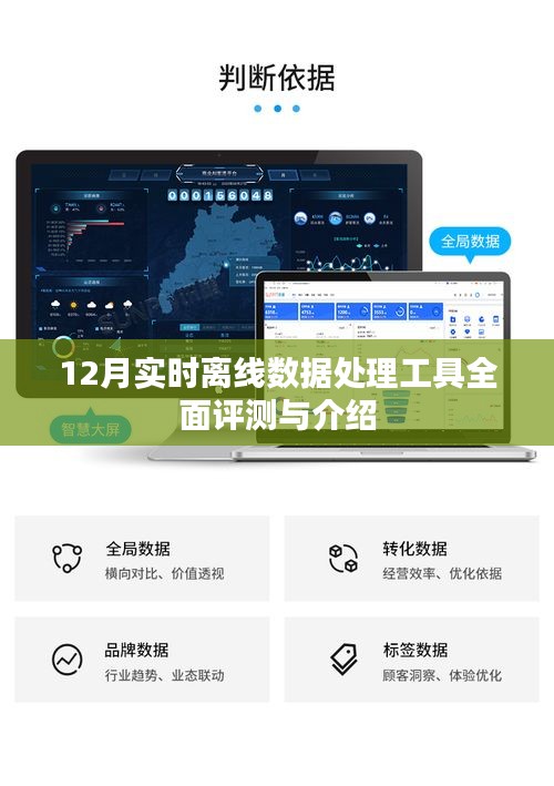 12月实时离线数据处理工具全面评测与详解