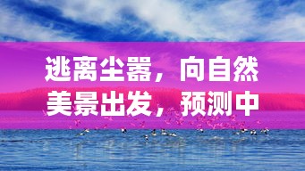 逃离尘嚣，自然美景之旅，宁静之旅与未来新冠状世界的展望