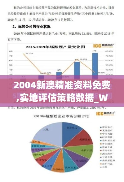 2004新澳精准资料免费,实地评估策略数据_W6.751