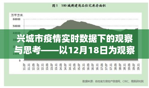 2024年12月19日 第17页