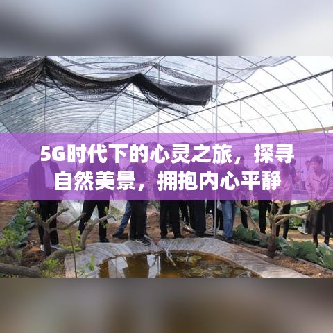 5G时代的心灵之旅，自然美景与内心平静的探寻