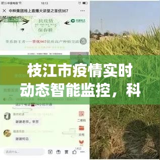 枝江市疫情智能监控，科技护航健康实时动态观察