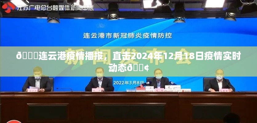 连云港疫情实时动态播报，直击最新进展与数据（2024年12月18日更新）