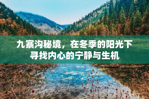 九寨沟秘境，冬季阳光下的心灵之旅与生机探寻