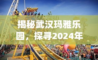 揭秘武汉玛雅乐园，探寻实时人数背后的故事，2024年12月18日现场纪实