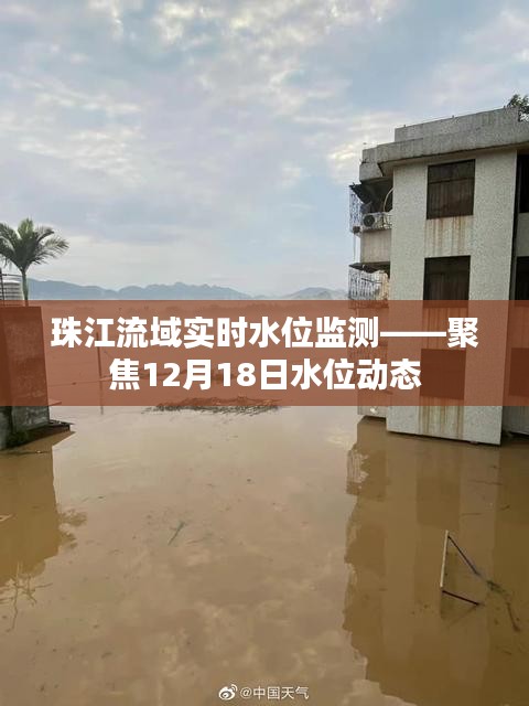 珠江流域实时水位监测报告，聚焦水位动态变化，揭示最新数据（附日期）