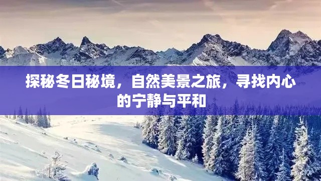 冬日秘境探秘，自然美景之旅，追寻内心宁静与平和的旅程