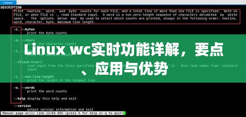 Linux wc实时功能详解，要点、应用与优势分析