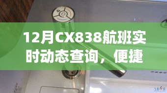 CX838航班实时动态查询，便捷服务背后的争议焦点