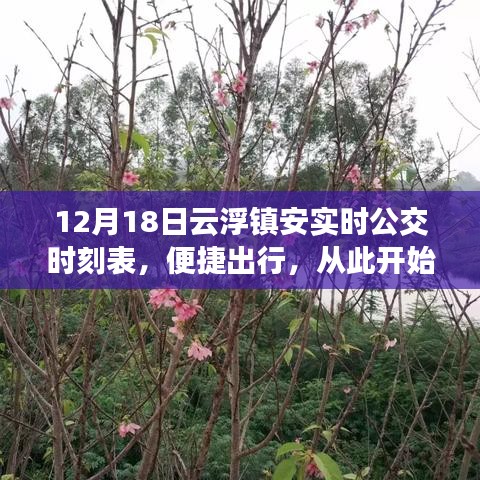 云浮镇安实时公交时刻表，便捷出行启程