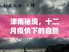 津南秘境，疫情下的自然探索之旅，追寻内心的宁静与平和十二月之旅