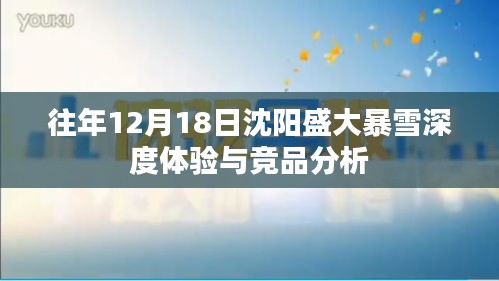 沈阳盛大暴雪深度体验与竞品分析报告，历年12月18日的雪域观察与对比