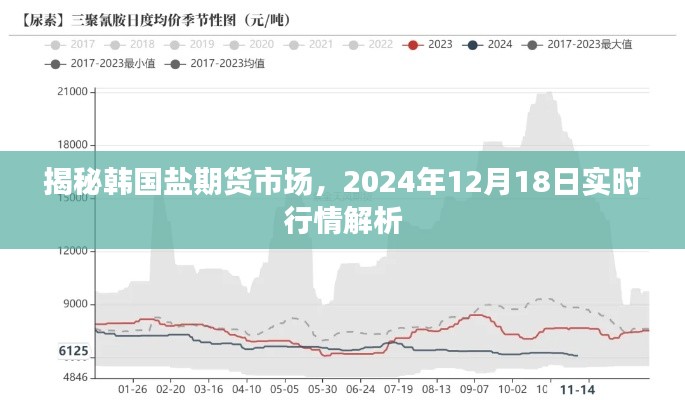 韩国盐期货市场实时行情解析，揭秘未来市场趋势（2024年12月18日）