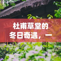 杜甫草堂冬日奇遇，实时画面图的温暖故事