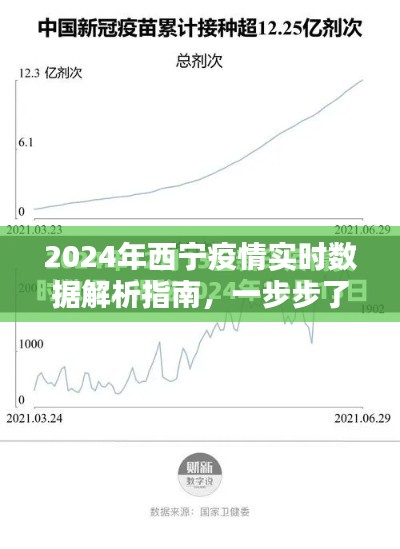 2024年西宁疫情实时数据解析指南，全面理解疫情动态