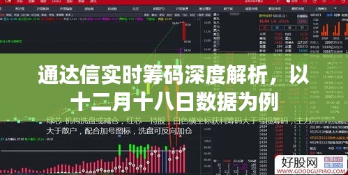 通达信实时筹码深度解析，以十二月十八日数据为例的股市观察