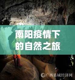 南阳疫情下的自然之旅，心灵平静之旅的奇妙探险