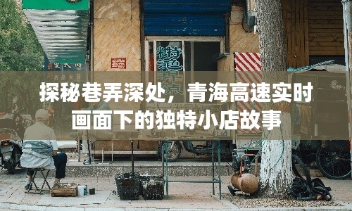 青海高速下的巷弄秘境，实时画面中的独特小店故事探秘