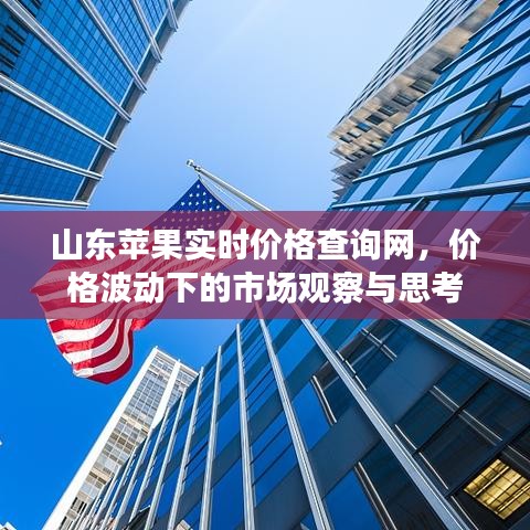 山东苹果实时价格查询网，市场波动下的市场观察与深度思考