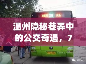 温州隐秘巷弄里的公交奇遇，73路带你探秘特色小店